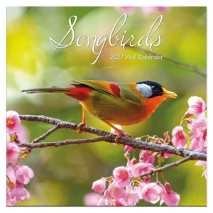 Kalender - Songbirds - 2027 - 30x30cm