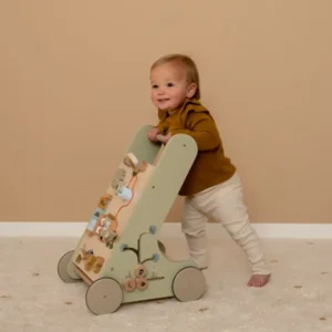 Duwwagen - Babywalker - Gans - Met activiteiten