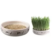 TRIXIE KATTENGRASZAAD 50GR IN KERAMIEK 15X15X4 CM
