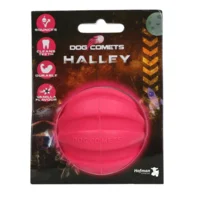 Dog Comets Halley Roze