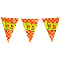 Vlaggenlijn - 100 jaar - 10m