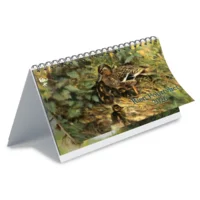 Bureau kalender - 2026 - Rien Poortvliet - Natuur - 21x14cm