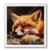 Kaart - Paperclip - Call of the wild - Slapende vos - VB0.0019