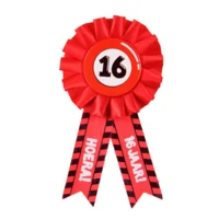 Rozet - 16 jaar - Verkeersbord