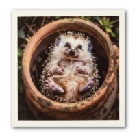 Kaart - Paperclip - Call of the wild - Egeltje in bloempot - VB0.0032