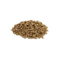 Premium Kat Sensitive