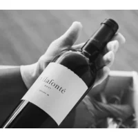 Vilafonté Series M 2021