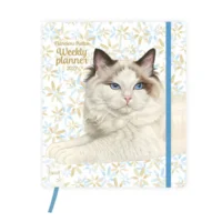 Kalender - Lizzy - Franciens katten - 2027