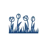 Tatterd Lace Tulipes