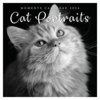 Kalender - 2026 - Cat portraits - 30x30cm