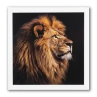 Kaart - Paperclip - Call of the wild - Leeuw - VB0.0022