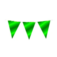 Vlaggenlijn - Groen - Metallic - 10m*
