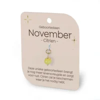 Gouden Charm - Geboortesteen - November