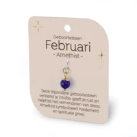 Gouden Charm - Geboortesteen - Februari