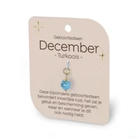 Gouden Charm - Geboortesteen - December