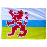 Vlag - Limburgse leeuw - 90x150cm
