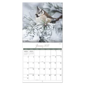 Kalender - Songbirds - 2027 - 30x30cm
