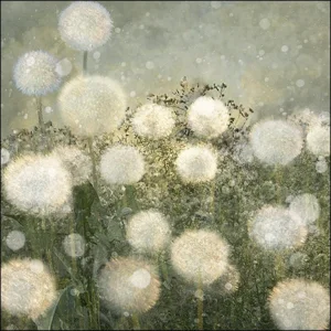 Kaartenmapje - 2 x 4 designs - Saskia Boelsums - Sympathy - 12x12cm