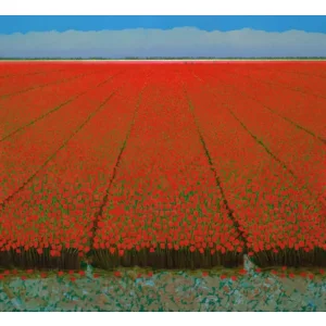 Kaartenmapje - 2 x 4 designs - Ton Dubbeldam - Holland - 12x12cm