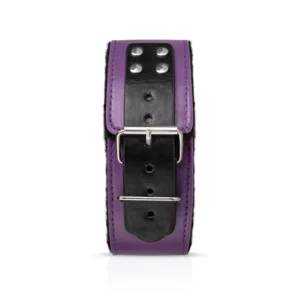 Bedroom Fantasies Purple Apprentice Bondageset