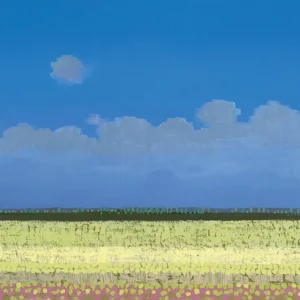 Kaartenmapje - 2 x 4 designs - Ton Dubbeldam - Holland - 12x12cm