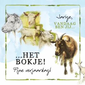 Kaartenmapje - 10st. - 4 designs -  - Rien Poortvliet - Lang leve de boerderij - Feestvarken - 12x12cm