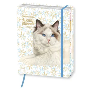 Kalender - Lizzy - Franciens katten - 2027