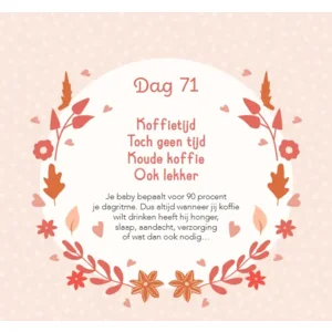 Boek - Baby's eerste 100 dagen