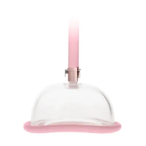 Pumped Acrylic Vagina Pomp