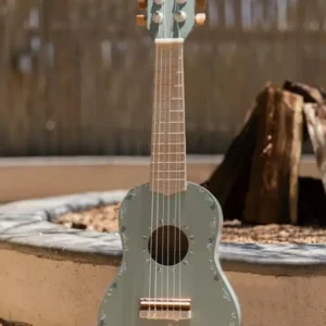 Gitaar - Safari friends - Groen