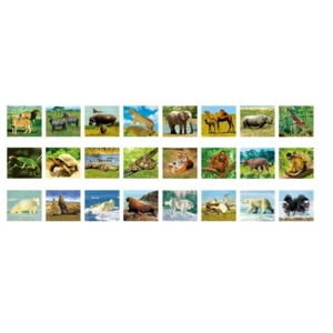 Zaklamp & projector - Wilde dieren - Met 3x8 afbeeldingen