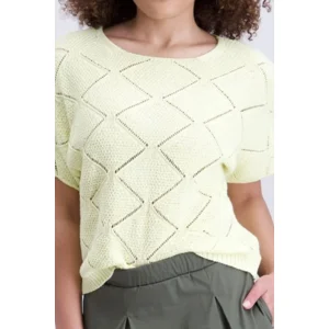 Signe Nature Dames pull: Lime, Ajour brei ( Signe.1364 )