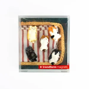 Trendform Magneten Kitty Kat Poes Set van 5 Stuks