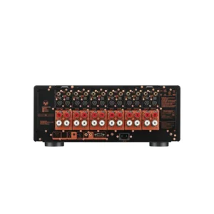 Marantz AMP20/N1B