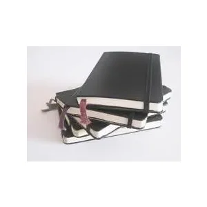 Moleskine notebook large geruit zwart HC