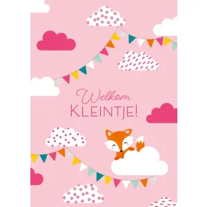 Kaart - Welkom kleintje! Meisje - ME - LGE.0013 - 16x22cm
