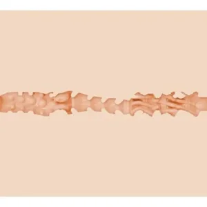 Fleshlight Bonnie Blue Vagina