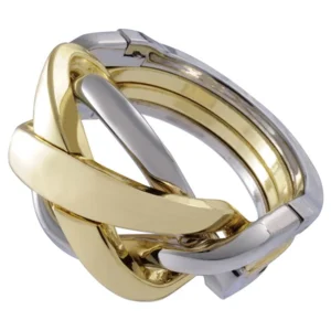 IQ-puzzel - Ring - Metaal - Niveau 4