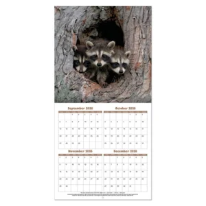 Kalender - Baby animals - 2027 - 30x30cm