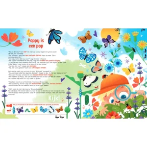 Boek - Speuren naar vlinders