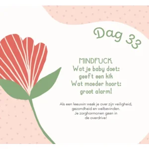 Boek - Baby's eerste 100 dagen