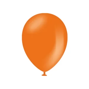 Ballonnen - Oranje - 30cm - 10st.