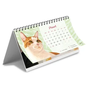 Kalender - Franciens katten - Desk - 2027