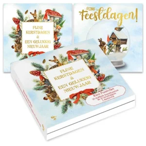 Kaarten - Kerst - Rien Poortvliet - Sneeuwbol vogelhuis & collage - 10st.