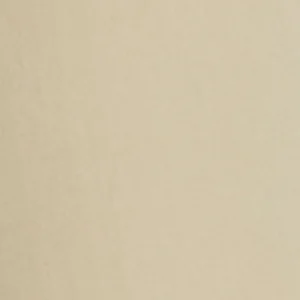 Para Mi Short: Mira Short, Licht Olive, Summer light  ( PARA.409 )