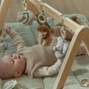 Babygym - Safari Friends - Hout