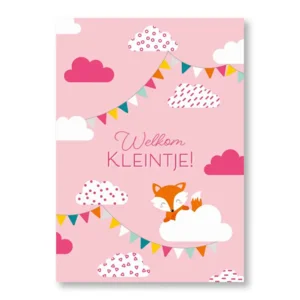 Kaart - Welkom kleintje! Meisje - ME - LGE.0013 - 16x22cm