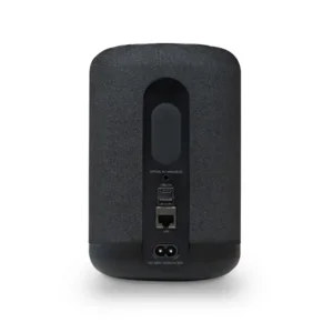 Bluesound Pulse Flex (2025) Black