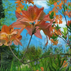 Kaartenmapje - 2 x 4 designs - Theo Leijdekkers - Frog perspective - 12x12cm