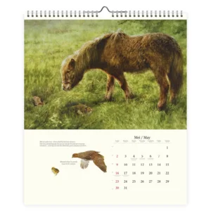 Kalender - Haas - Rien Poortvliet - 2027 - 42x50cm
